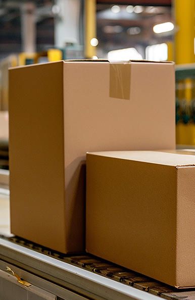 Empaques de cartón